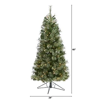 5ft. Pre-Lit Cashmere Artificial Christmas Tree, Warm White Lights
