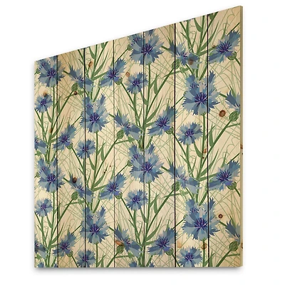 Designart - Blue Cornflowers With Green Leaves I