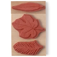 Leaf Stamp Set by Recollections™