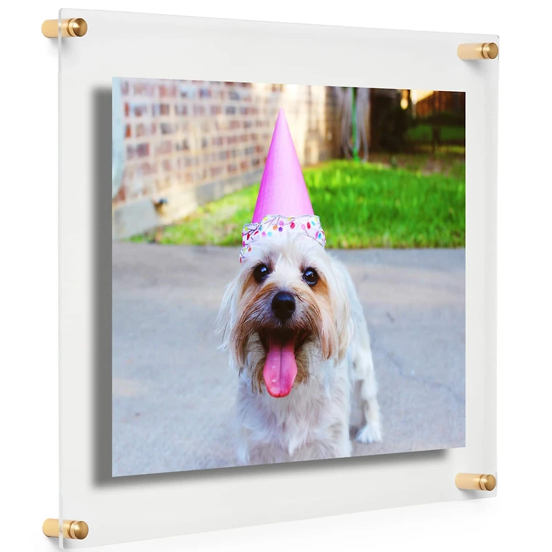 Cool Modern Frames 2 Pack Clear Acrylic Float Frame with Gold Hardware