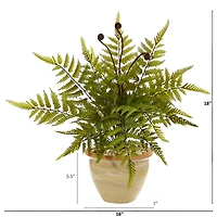 18" Fern in Ceramic Planter