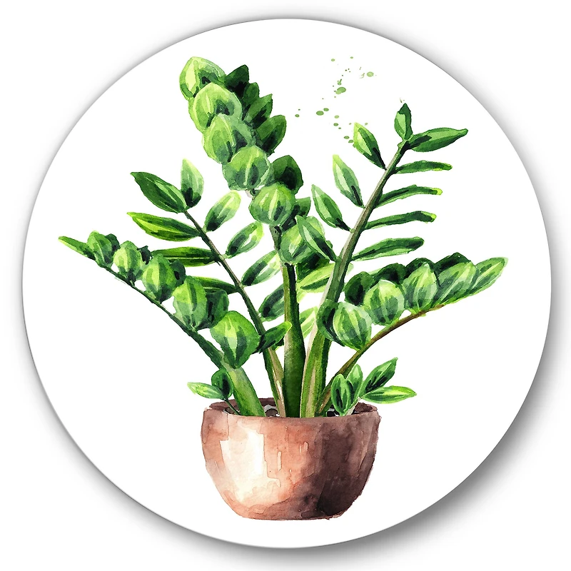 Designart - Zamioculcas Tropical Plant With Green Leaves