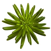 Succulent Pick, 6ct.