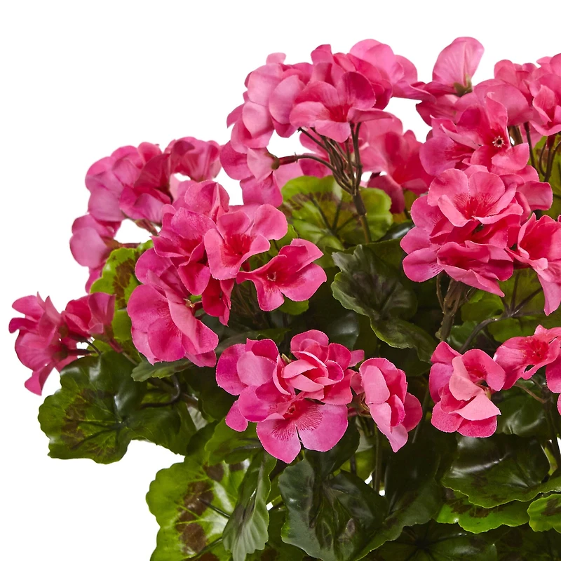 13" Beauty Geranium in Rectangular Planter