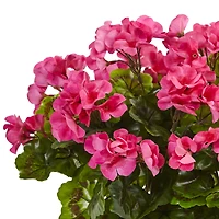 13" Beauty Geranium in Rectangular Planter