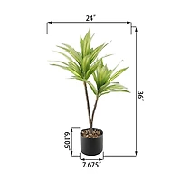 Flora Bunda® 3ft. Palm in Black Ceramic Planter