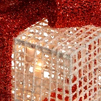 White & Red Gift Box Set with Clear Lights