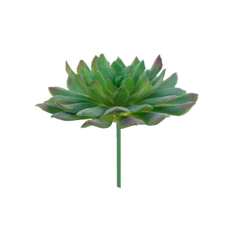 Flora Bunda® Succulent Pick, 6ct.