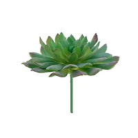 Flora Bunda® Succulent Pick, 6ct.