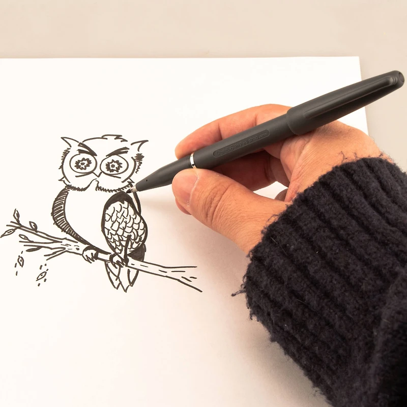 Pentel Arts® Fiber Tip Sign Pen, Black