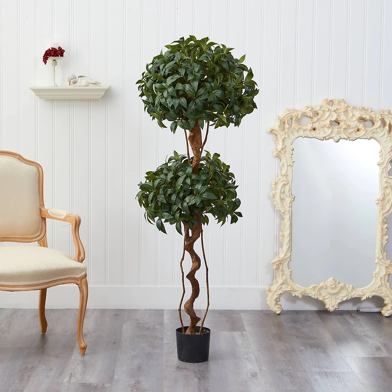 5ft. Bay Laurel Double Ball Topiary Tree