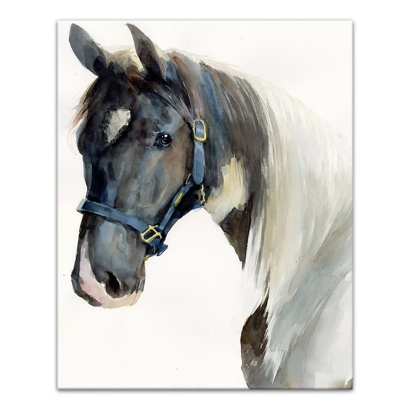Painted Horse 16" x 20" Canvas Wall Art