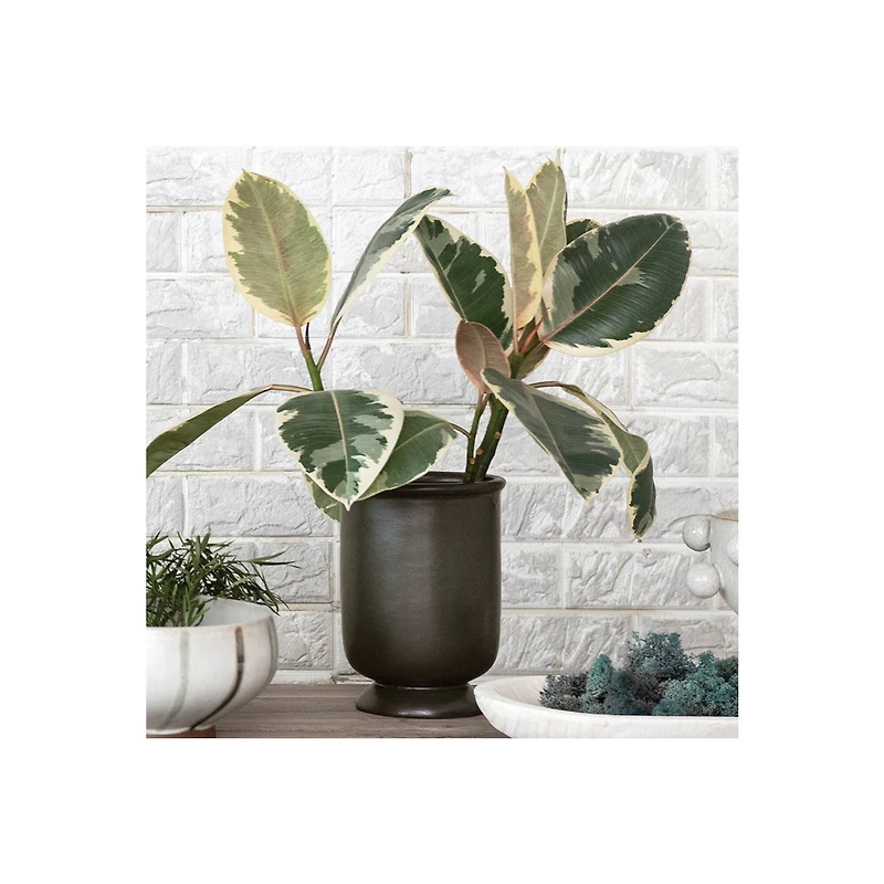 Hello Honey® 8.75" Green Reactive Glaze Round Stoneware Vase