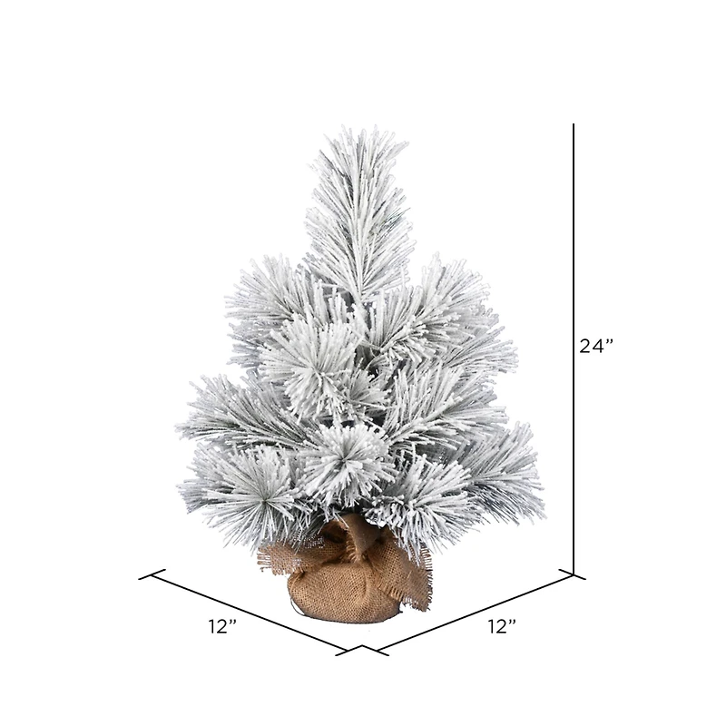 24" Unlit Frosted Beckett Pine Artificial Christmas Tree