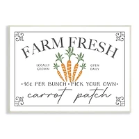 Stupell Industries Farm Fresh Carrot Patch Seasonal Springtime Vegetables Wall Plaque Art