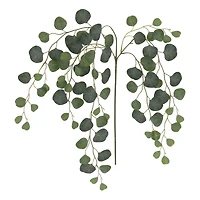 24" Round Eucalyptus Stem by Ashland®