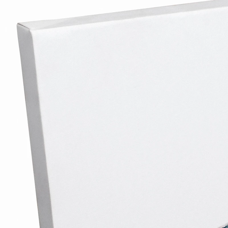 Sea Turtle Swimming 24" x 24" Canvas Wall Art