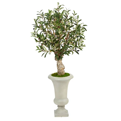 3.5ft. Olive Tree in Sand Colored Urn