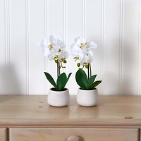 Phalaenopsis Orchid Artificial Arrangement (Set of 2)