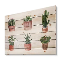 Designart - Flowers In A Pot Cacti and Succulents