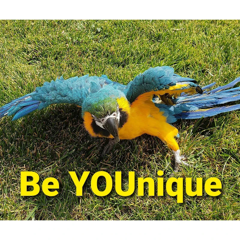 Sparkly Selections Be YOUnique Diamond Painting Kit, Round Diamonds