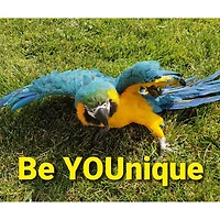 Sparkly Selections Be YOUnique Diamond Painting Kit, Round Diamonds