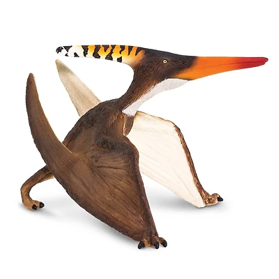Safari Ltd® Pteranodon