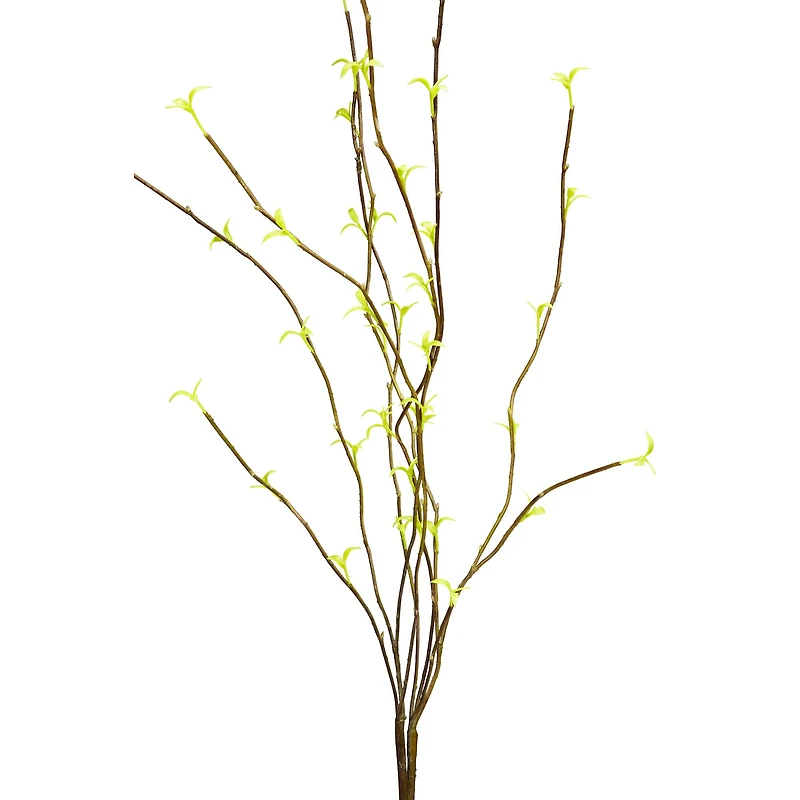 Yellow Willow Branch, 6ct.