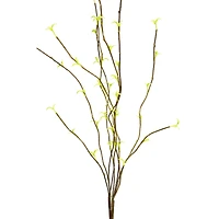 Yellow Willow Branch, 6ct.