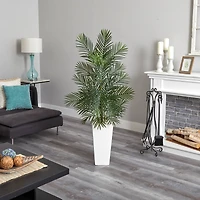 5ft. Areca Palm Tree in White Planter