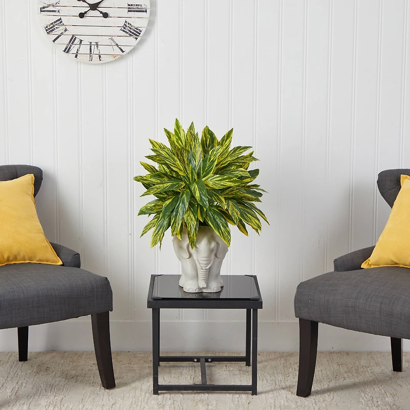 25" Spiderwort Plant in White Elephant Shaped Planter