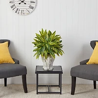 25" Spiderwort Plant in White Elephant Shaped Planter