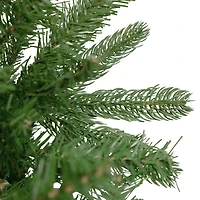 4ft. Unlit Full Sierra Noble Fir Artificial Christmas Tree