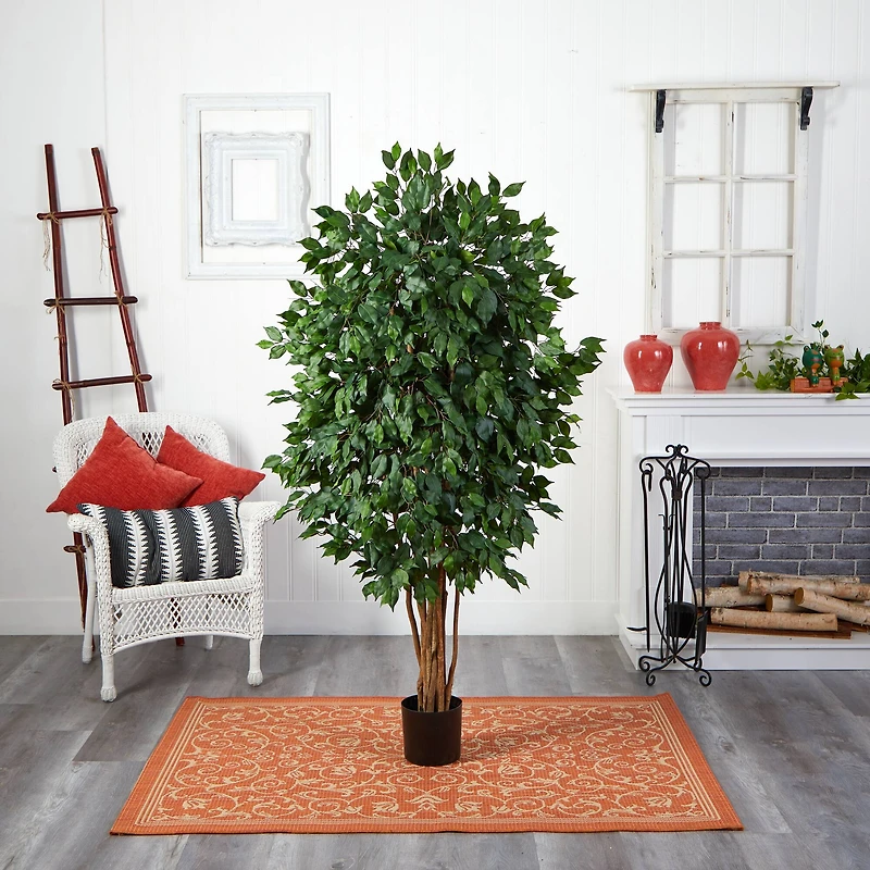 5.5ft. Potted Ficus Tree