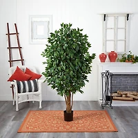 5.5ft. Potted Ficus Tree