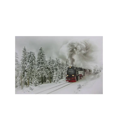 Winter Woods Train Fiber Optic & LED Lighted Canvas Wall Art