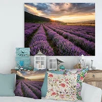 Designart - Sunrise & Dramatic Clouds Over Lavender Field VI