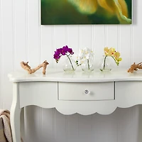 9" Orchid Arrangement in Glass Vase Set