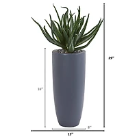 2.5ft. Aloe in Gray Planter