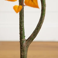 4ft. Autumn Birch Artificial Fall Tree in White Decorative Planter