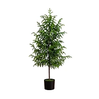 4ft. Unlit Norfolk Pine Artificial Potted Christmas Tree