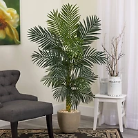 5ft. Golden Cane Palm Tree in Sandstone Planter