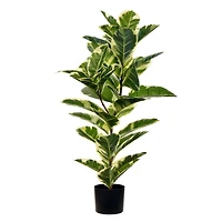 3ft. Potted Artificial Dumb Cane Tree