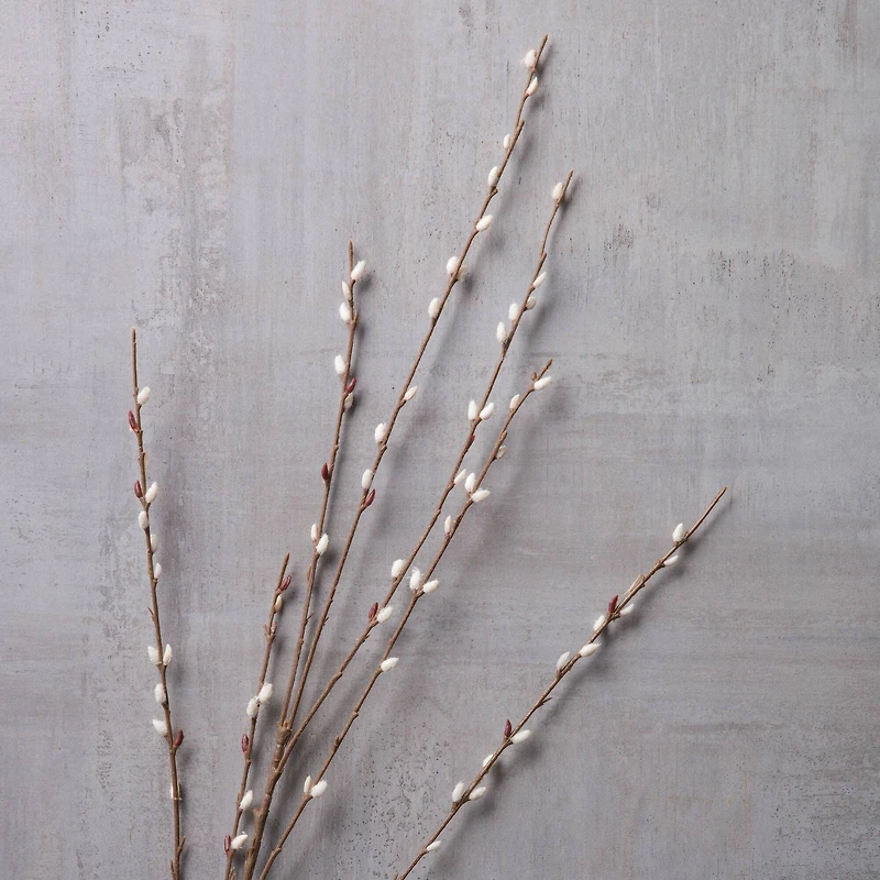 18 Pack: Pussy Willow Stem by Ashland®