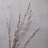 18 Pack: Pussy Willow Stem by Ashland®