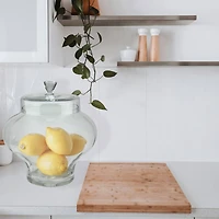 14.5" Transparent Segmented Glass Container with Lid