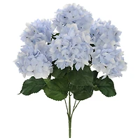 Light Blue Hydrangea Bush by Ashland®