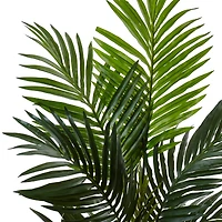 4.5ft. Kentia Palm Tree in White Oval Planter