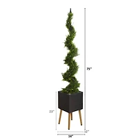 6.25ft. Cypress Spiral Tree in Black Planter with Stand