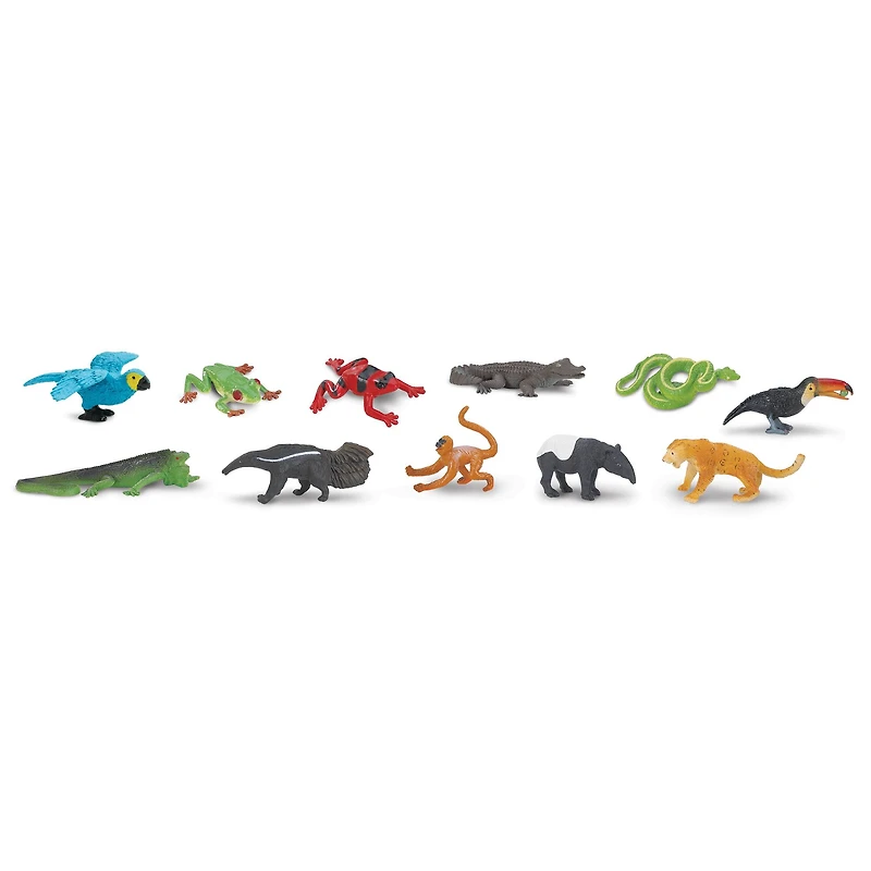 12 Pack: Safari Ltd® TOOBS® Rainforest Set